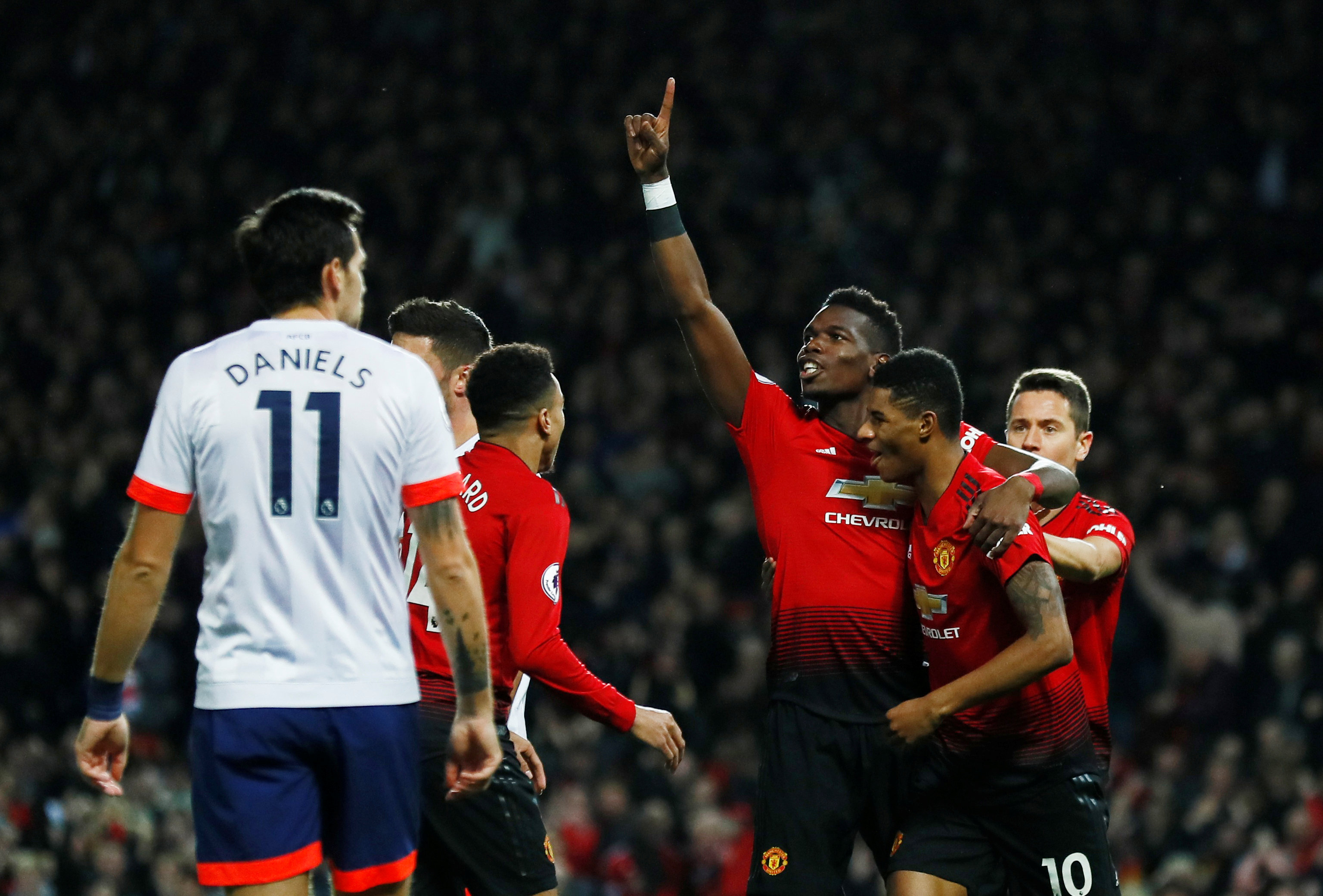 特点和潜力 特点和潜力